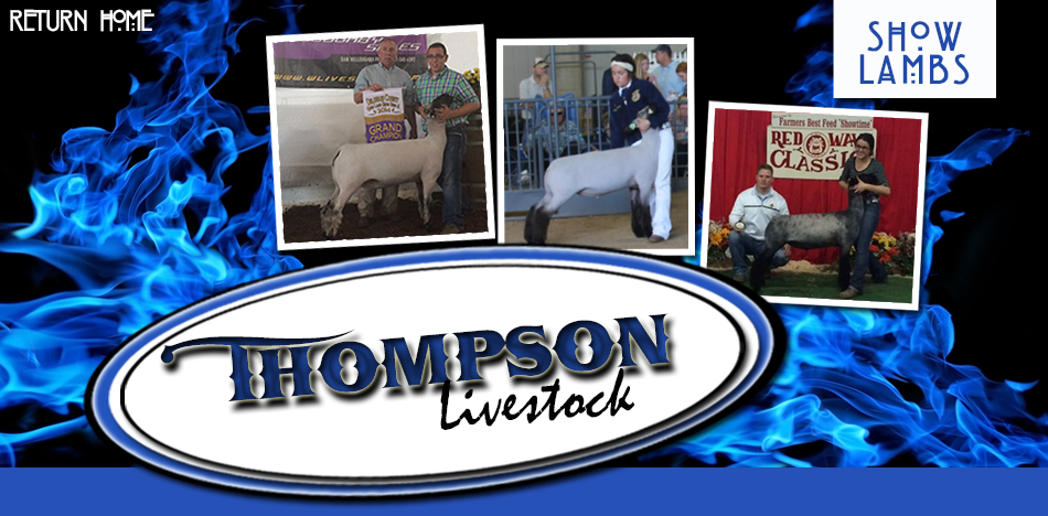 Thompson Livestock